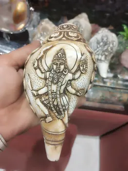 Hand Carved Conch/Shell Sankh