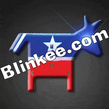 Democrat Flashing Body Light Lapel Pins