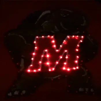 Maryland Terrapins Flashing Fiber Optic Cap