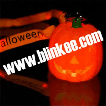 Light up Pumpkin with Orange Flashing Lanyard