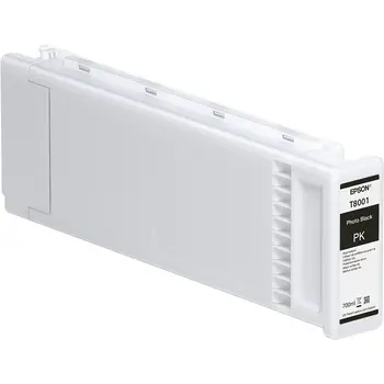 Original Ink Cartridge Epson C13T800100 Black