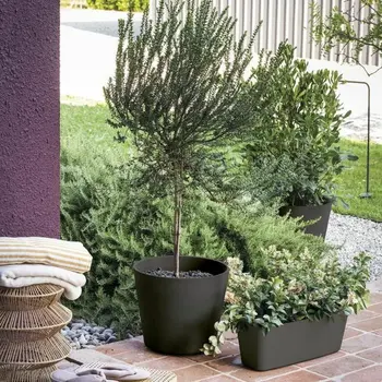 Plant pot Deroma
