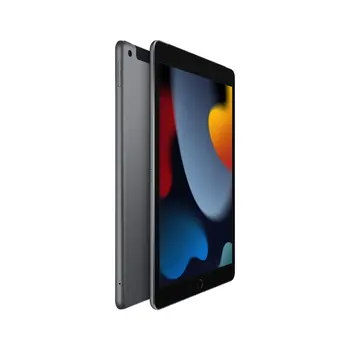 Tablet Apple MK4E3TY/A 10,2" Hexa Core 3 GB RAM 64 GB Grey