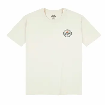 Men’s Short Sleeve T-Shirt Dickies Greensburg Brown