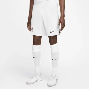 Men's Sports Shorts Nike DN2725-100-S