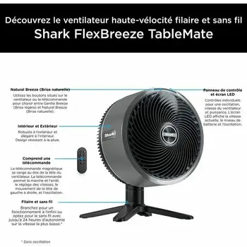 Freestanding Fan Shark