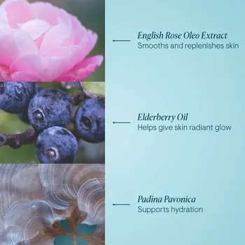 Facial Make Up Remover Elemis