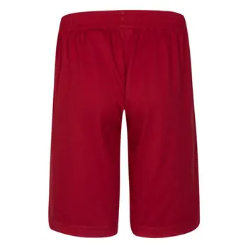 Sport Shorts for Kids Jordan JDB JORDAN VERT MESH SHORT 957176 R78 Red