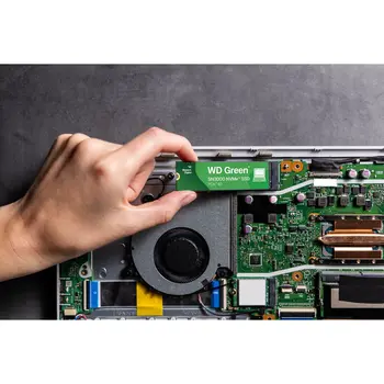 Hard Drive Western Digital WDS200T4G0E 2 TB SSD
