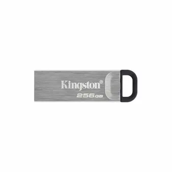 Pendrive Kingston DTKN/256GB USB 3.2 Silver Black 256 GB