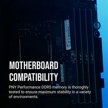 RAM Memory PNY 8 GB DDR5 SDRAM DDR5 4800 MHz CL40