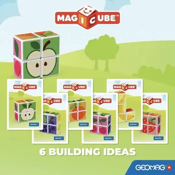 Educational Game Geomag