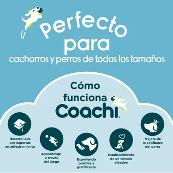 Dog Lead Coachi Blue Training