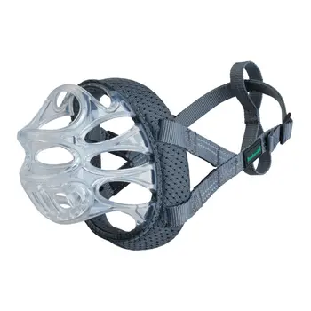 Muzzle Company of Animals Transparent 2