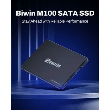 Hard Drive Biwin M100 256 GB SSD