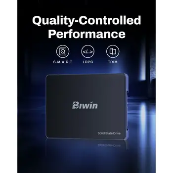 Hard Drive Biwin M100 256 GB SSD