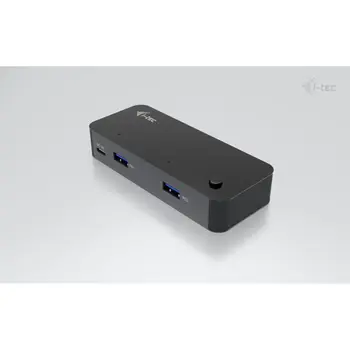 KVM switch i-Tec CAKVMHUB2A2C 1 m