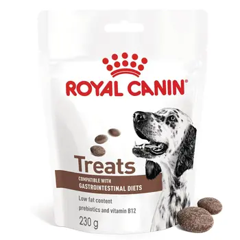 Dog Snack Royal Canin Gastrointestinal Treats 230 g