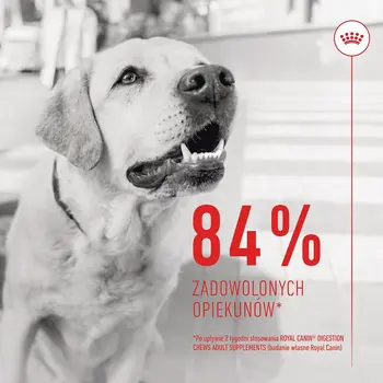 Dog Snack Royal Canin Supplements Dog Digestion Adult 160 g