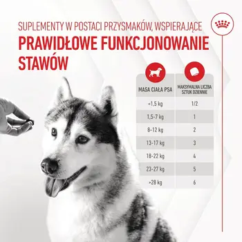 Dog Snack Royal Canin Supplements Dog Joint & Ageing Adult 240 g
