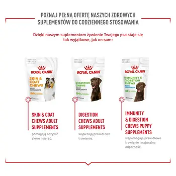 Dog Snack Royal Canin Supplements Dog Joint & Ageing Adult 240 g