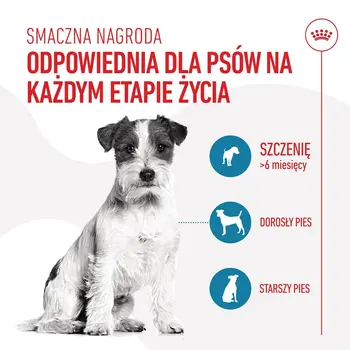 Dog Snack Royal Canin Training Treats 110 g