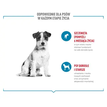 Dog Snack Royal Canin Training Treats 110 g