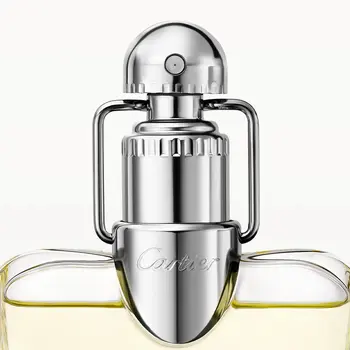 Men's Perfume Cartier Déclaration EDT 100 ml