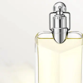 Men's Perfume Cartier Déclaration EDT 100 ml