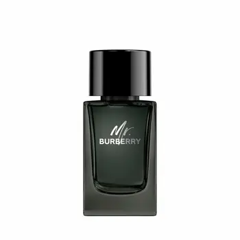 Men's Perfume Burberry Mr. Burberry 100 ml