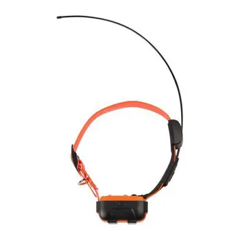 Dog collar Num'Axes Canicom GPS GEO1047