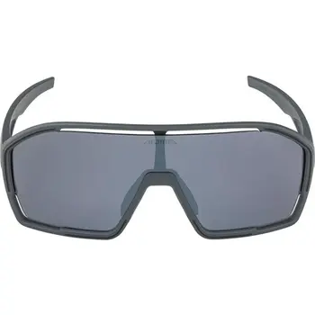 Men's Sunglasses Alpina A8687321