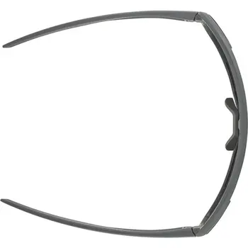 Men's Sunglasses Alpina A8687321