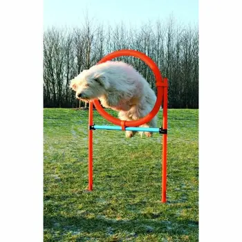 Training toy Trixie