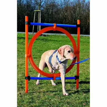 Training toy Trixie