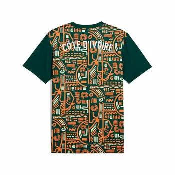 Men's Short-sleeved Football Shirt Puma Cote d'Ivore Prematch Ss Green