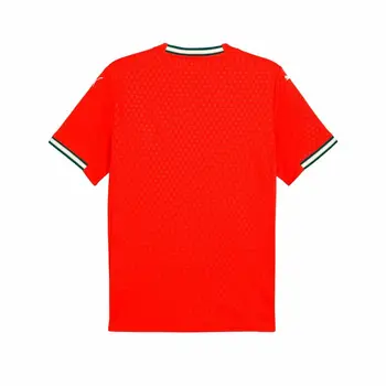 Men's Short-sleeved Football Shirt Puma Portugal Home Repl Red