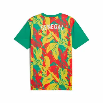 Men's Short-sleeved Football Shirt Puma Senegal Prematch Ss Green