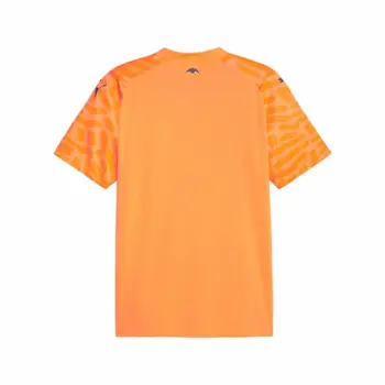 Men's Short-sleeved Football Shirt Puma Valencia CF 3rd Kit 23/24 Orange