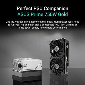 Graphics card Asus 90YV0MI1-M0NA00 8 GB GDDR6