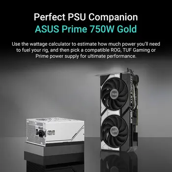 Graphics card Asus 90YV0N12-M0NA00 8 GB GDDR7