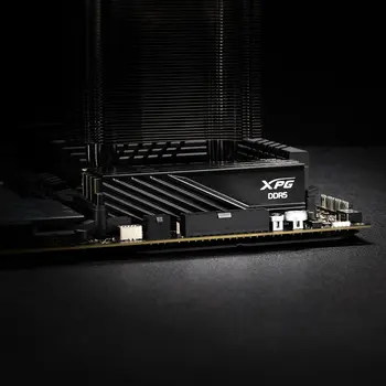 RAM Memory Adata AX5U6000C3616G-DTLABBK