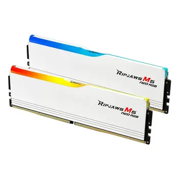 RAM Memory GSKILL F5-6000J3036F48GX2-RM5NRW 96 GB DDR5 cl30