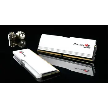 RAM Memory GSKILL F5-6000J3036F48GX2-RM5NRW 96 GB DDR5 cl30