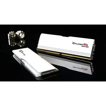 RAM Memory GSKILL F5-6000J3036F48GX2-RM5NRW 96 GB DDR5 cl30