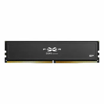 RAM Memory Silicon Power SP032GXLWU60BFSJ