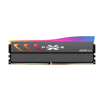 RAM Memory Silicon Power SP064GXLWU60BFDK