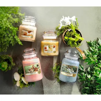 Scented Candle Yankee Candle 10.00114.0846