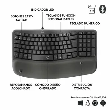 Keyboard and Mouse Logitech Graphite Steel Spanish Qwerty