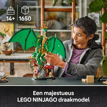 Construction set Lego 71847